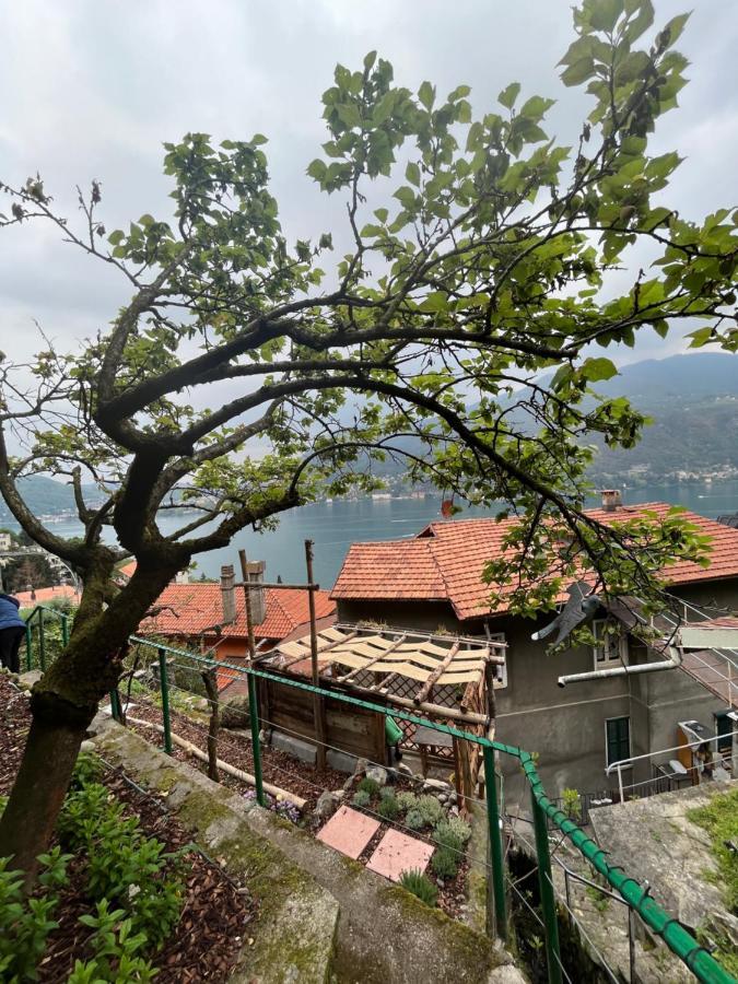 Villa Como, Jacuzzi Spa And Private Pool Blevio Exterior photo